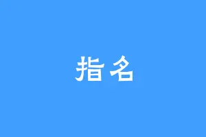 指名