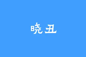 晓丑
