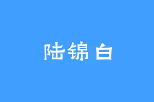 陆锦白