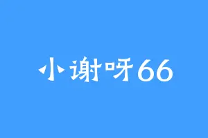 小谢呀66