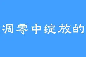 等待凋零中绽放的玫瑰