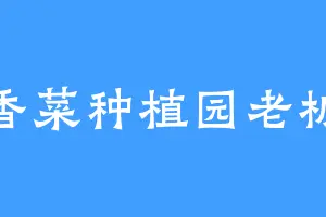 香菜种植园老板