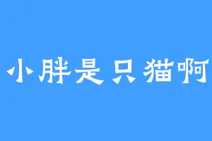 小胖是只猫啊