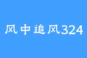 风中追风324