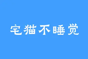 宅猫不睡觉