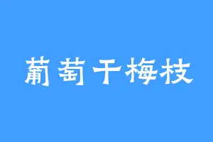 葡萄干梅枝