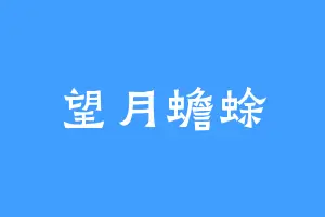 望月蟾蜍
