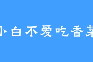 小白不爱吃香菜